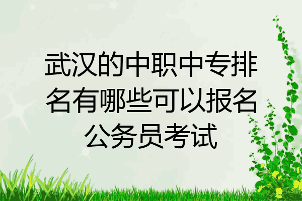 武汉的中职中专排名有哪些可以报名公务员考试