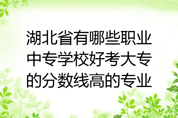 湖北省有哪些职业中专学校好考大专的分数线高的专业