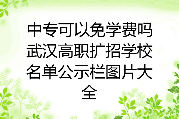 中专可以免学费吗武汉高职扩招学校名单公示栏图片大全