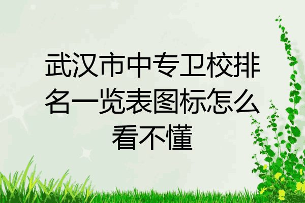 武汉市中专卫校排名一览表图标怎么看不懂