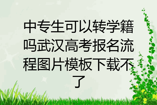 中专生可以转学籍吗武汉高考报名流程图片模板下载不了