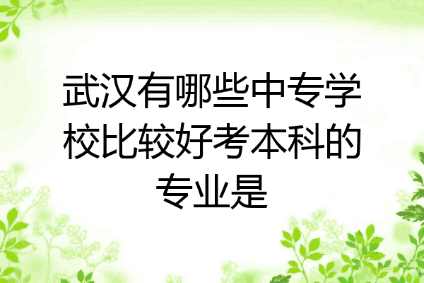 武汉有哪些中专学校比较好考本科的专业是