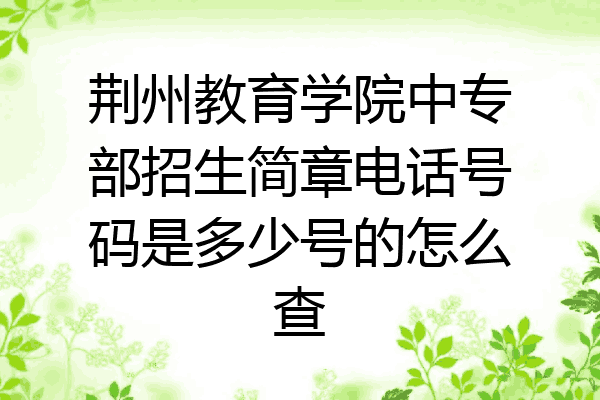 荆州教育学院中专部招生简章电话号码是多少号的怎么查