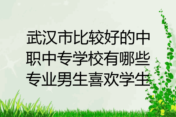 武汉市比较好的中职中专学校有哪些专业男生喜欢学生