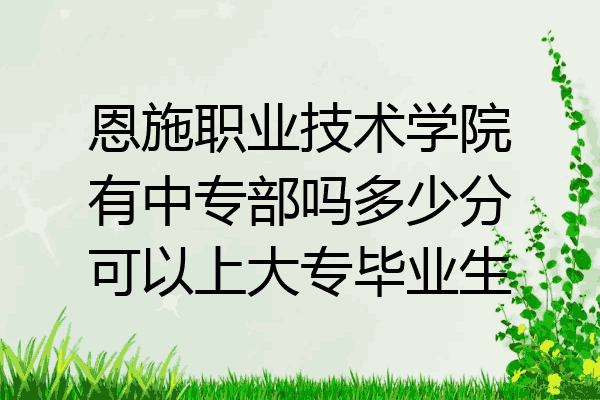 恩施职业技术学院有中专部吗多少分可以上大专毕业生