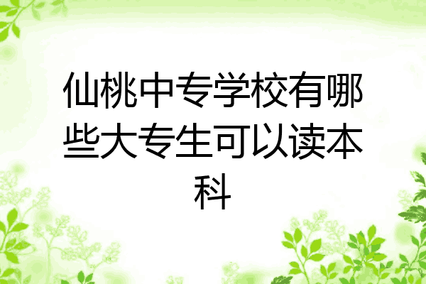 仙桃中专学校有哪些大专生可以读本科