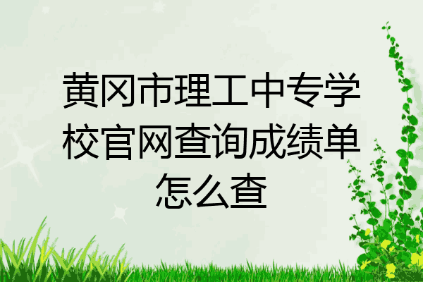 黄冈市理工中专学校官网查询成绩单怎么查