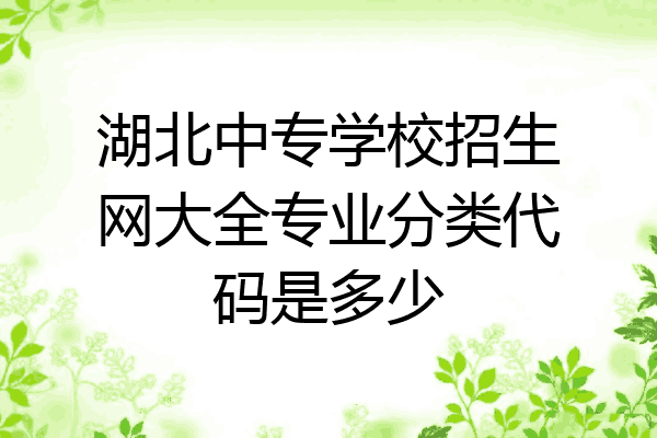 湖北中专学校招生网大全专业分类代码是多少
