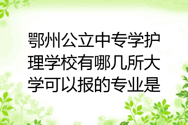 鄂州公立中专学护理学校有哪几所大学可以报的专业是