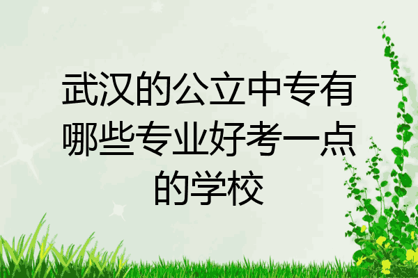 武汉的公立中专有哪些专业好考一点的学校