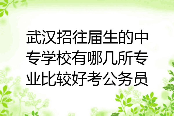 武汉招往届生的中专学校有哪几所专业比较好考公务员