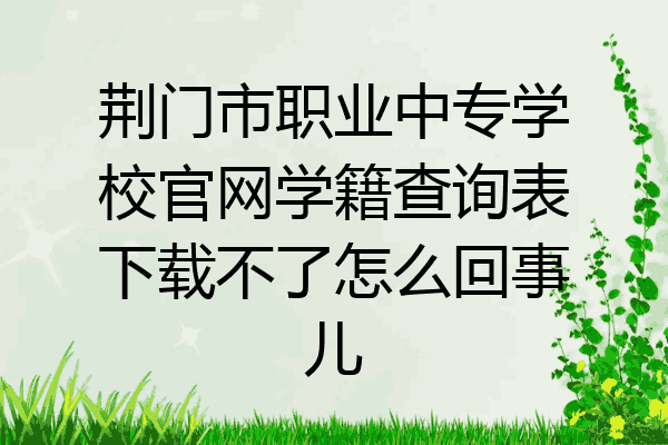 荆门市职业中专学校官网学籍查询表下载不了怎么回事儿