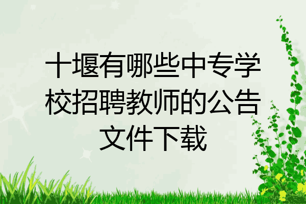 十堰有哪些中专学校招聘教师的公告文件下载