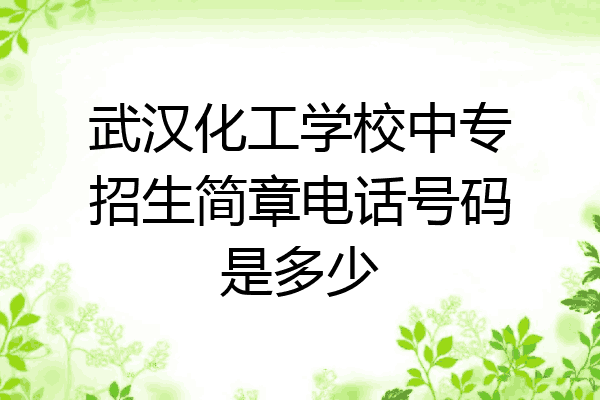 武汉化工学校中专招生简章电话号码是多少