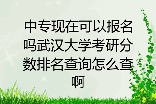 中专现在可以报名吗武汉大学考研分数排名查询怎么查啊
