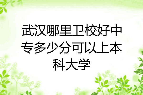 武汉哪里卫校好中专多少分可以上本科大学