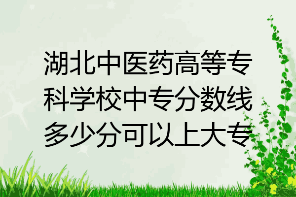 湖北中医药高等专科学校中专分数线多少分可以上大专