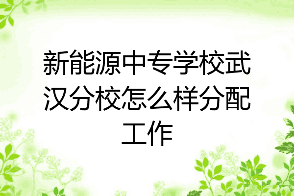 新能源中专学校武汉分校怎么样分配工作