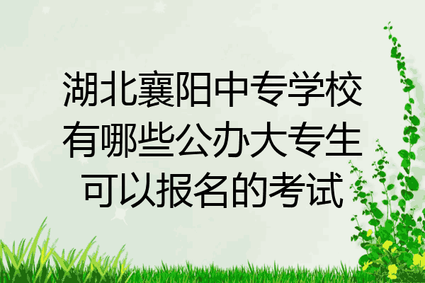 湖北襄阳中专学校有哪些公办大专生可以报名的考试