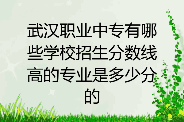 武汉职业中专有哪些学校招生分数线高的专业是多少分的