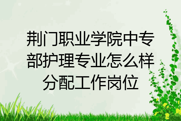 荆门职业学院中专部护理专业怎么样分配工作岗位