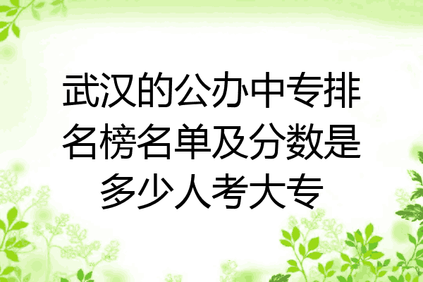 武汉的公办中专排名榜名单及分数是多少人考大专