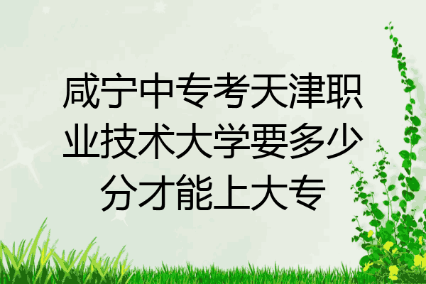 咸宁中专考天津职业技术大学要多少分才能上大专