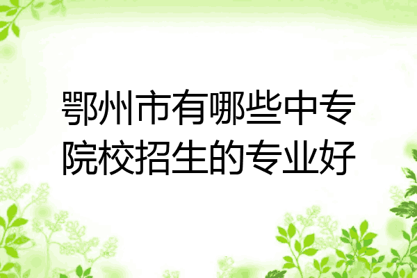 鄂州市有哪些中专院校招生的专业好