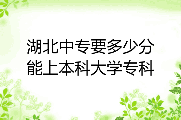 湖北中专要多少分能上本科大学专科