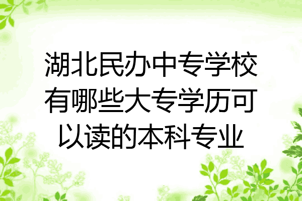湖北民办中专学校有哪些大专学历可以读的本科专业