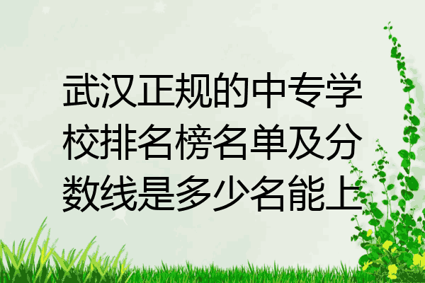 武汉正规的中专学校排名榜名单及分数线是多少名能上