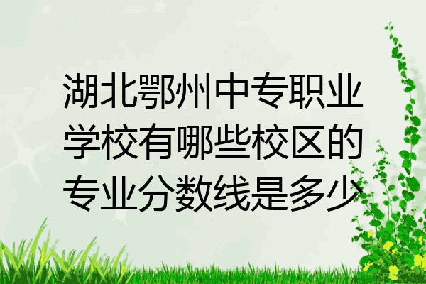 湖北鄂州中专职业学校有哪些校区的专业分数线是多少
