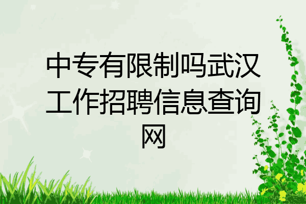 中专有限制吗武汉工作招聘信息查询网