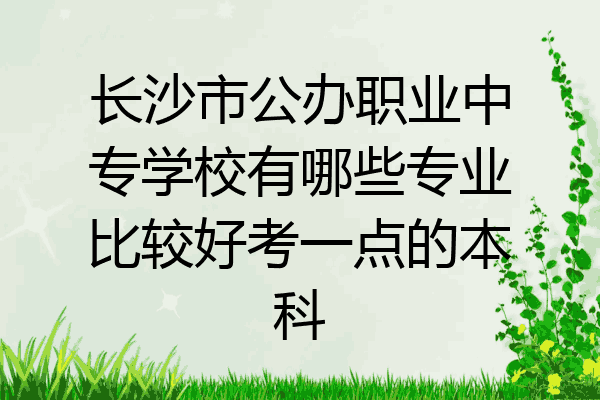 长沙市公办职业中专学校有哪些专业比较好考一点的本科