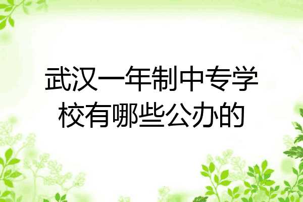 武汉一年制中专学校有哪些公办的