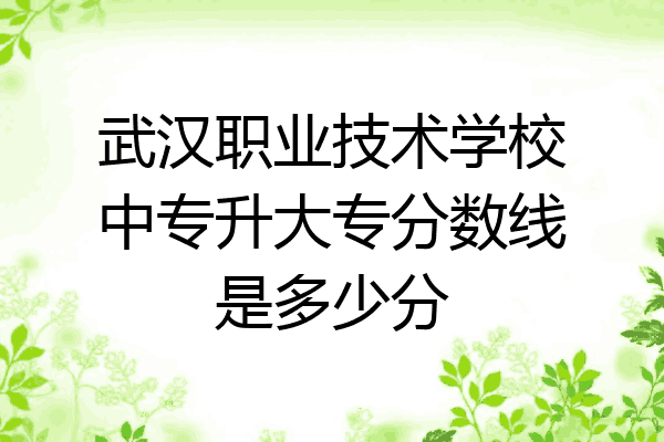 武汉职业技术学校中专升大专分数线是多少分