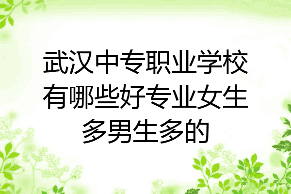 武汉中专职业学校有哪些好专业女生多男生多的