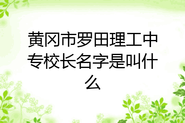 黄冈市罗田理工中专校长名字是叫什么