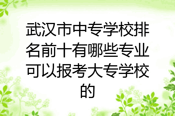 武汉市中专学校排名前十有哪些专业可以报考大专学校的