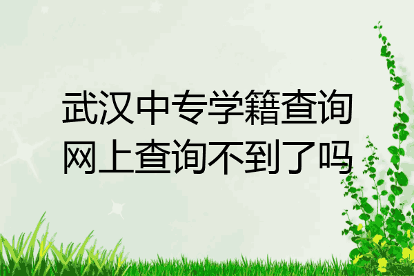 武汉中专学籍查询网上查询不到了吗