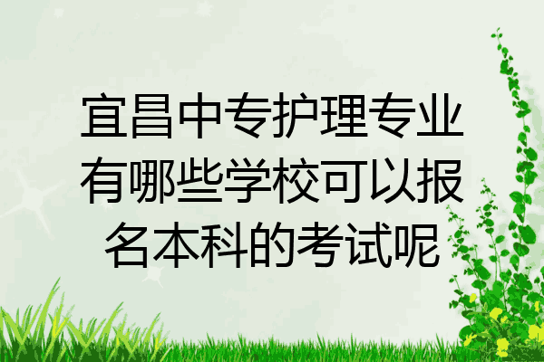 宜昌中专护理专业有哪些学校可以报名本科的考试呢