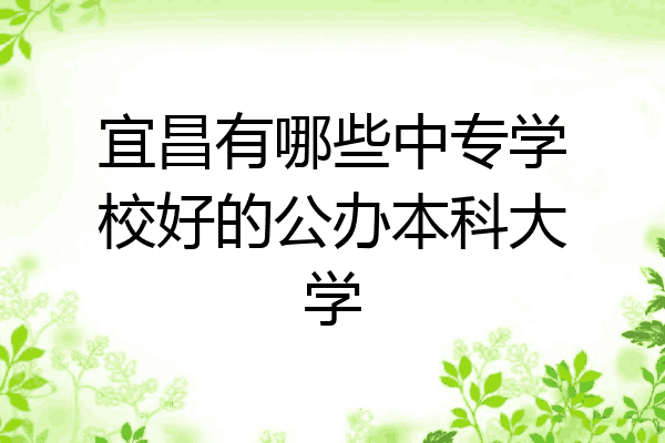 宜昌有哪些中专学校好的公办本科大学