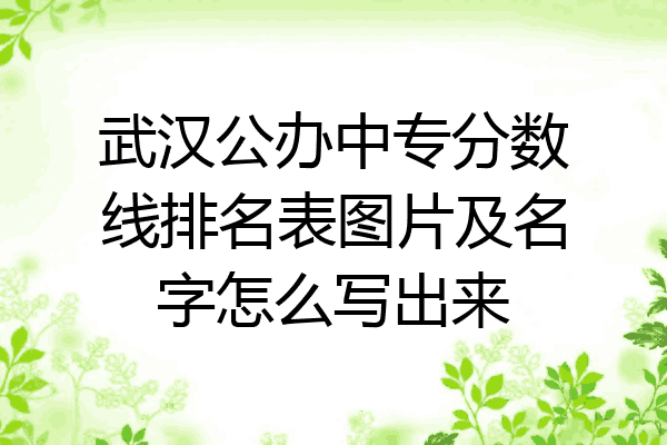 武汉公办中专分数线排名表图片及名字怎么写出来