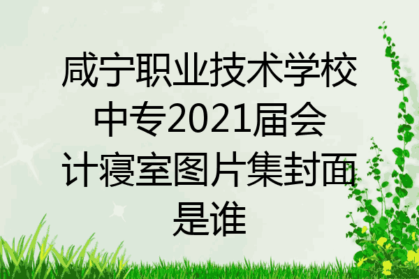 咸宁职业技术学校中专2021届会计寝室图片集封面是谁