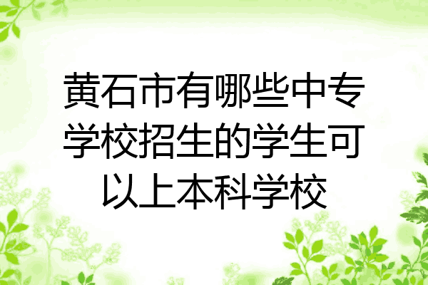 黄石市有哪些中专学校招生的学生可以上本科学校