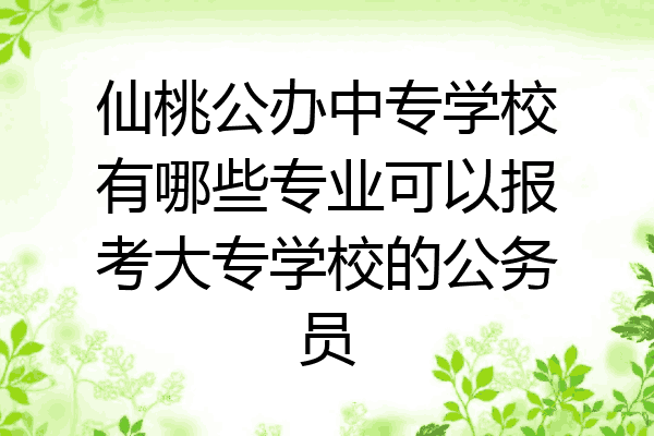 仙桃公办中专学校有哪些专业可以报考大专学校的公务员
