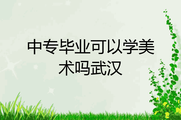 中专毕业可以学美术吗武汉