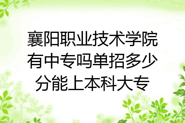 襄阳职业技术学院有中专吗单招多少分能上本科大专