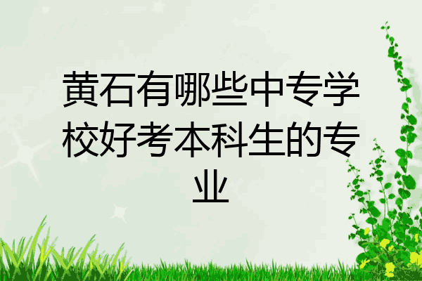 黄石有哪些中专学校好考本科生的专业