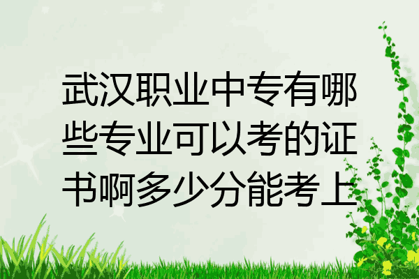 武汉职业中专有哪些专业可以考的证书啊多少分能考上